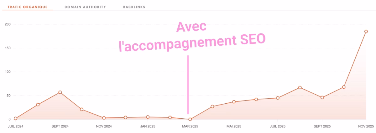 Formation SEO WordPress - résultats organiques